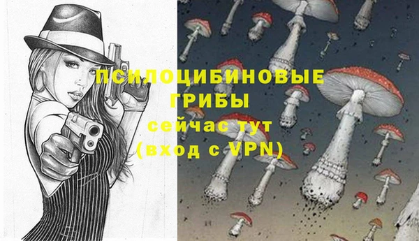 соль ск Ступино