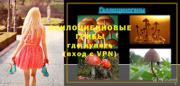 твердый Струнино