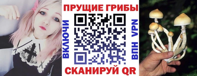 Галлюциногенные грибы мицелий  Купить закладки  Радужный 